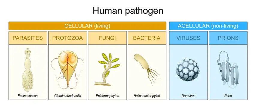 Pathogens